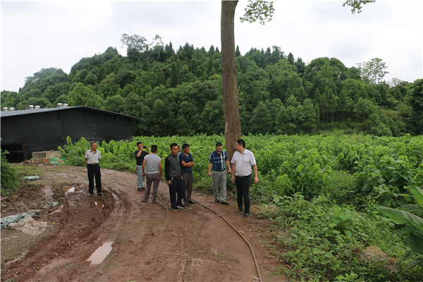 QQ图片20190619102925