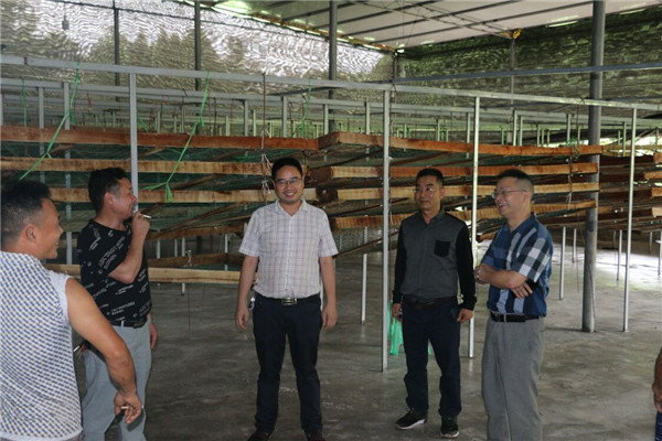 QQ图片20190619103348